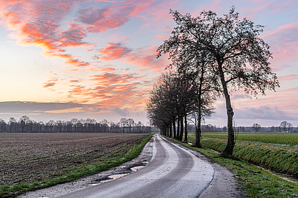 Feldweg am Mühlenbach bei Dülmen